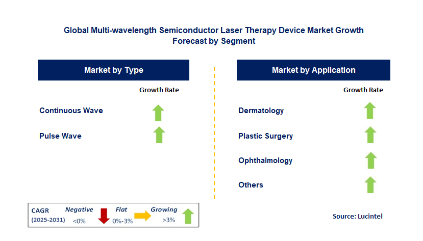 Multi-wavelength Semiconductor Laser Therapy Device Market by Segment